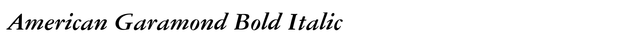 American Garamond Bold Italic image